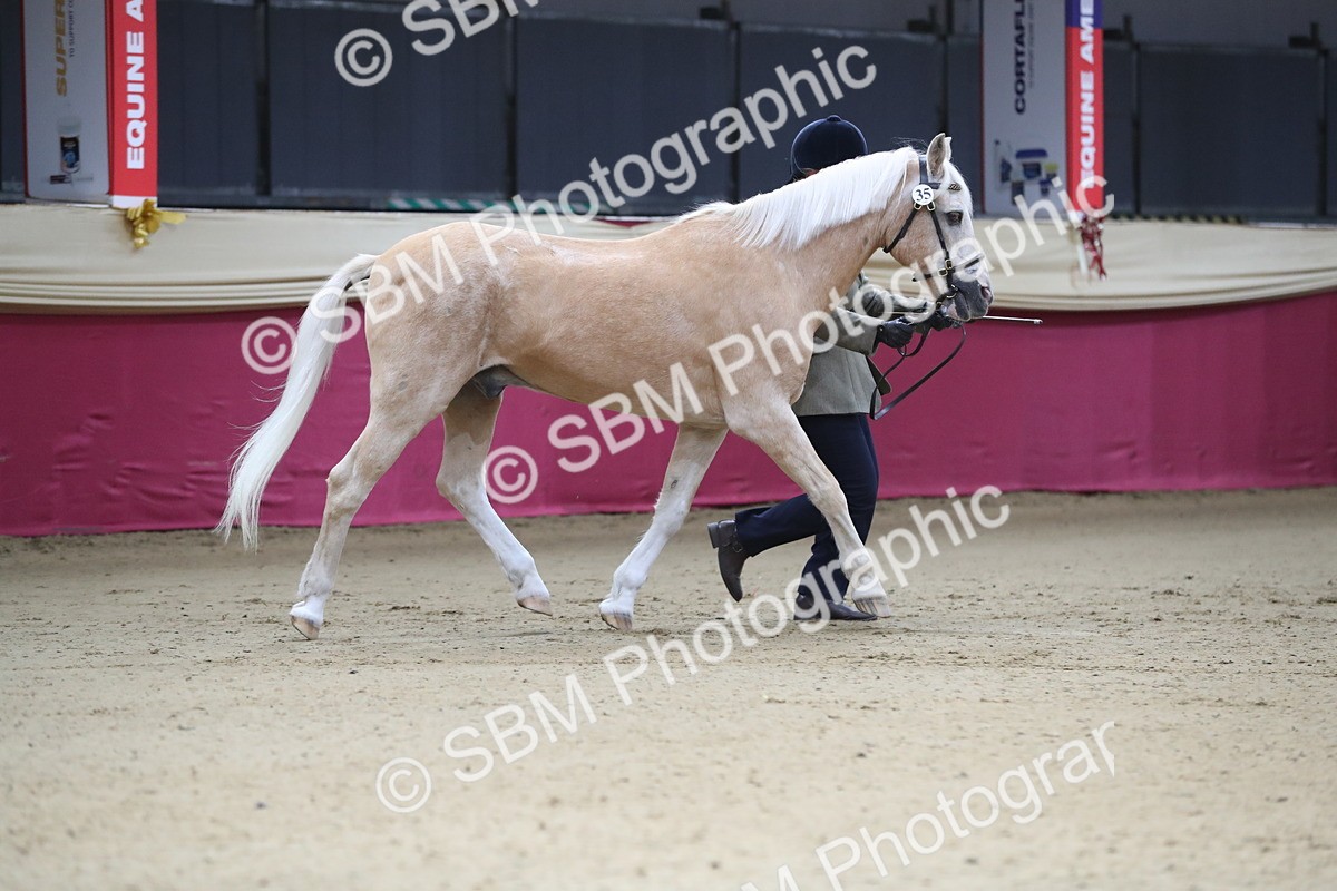 SBM_00246