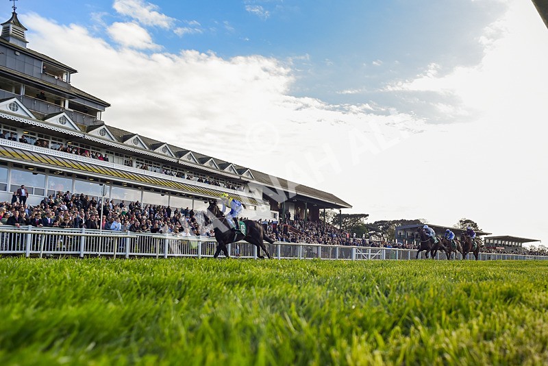 200424-Race 3-Never So Brave-2-2 - Race 3