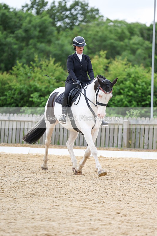 3E7A0838 - Class 6: Novice 1 2024 Section B