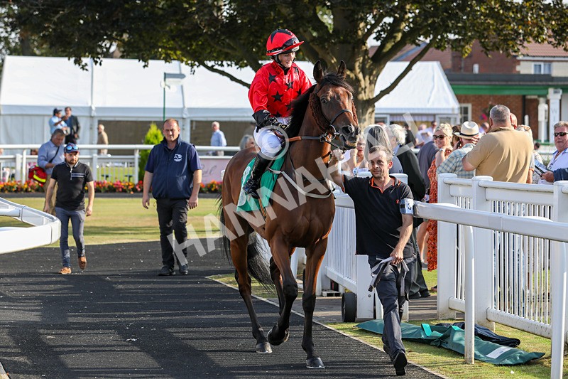 300824-Race 8-Sunny Orange-0739 - Race 8