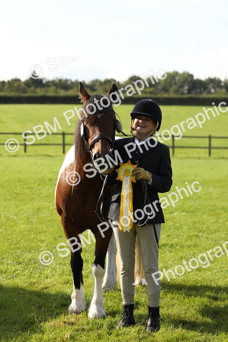 SBM_61003 - S43 - Coloured Pony In Hand