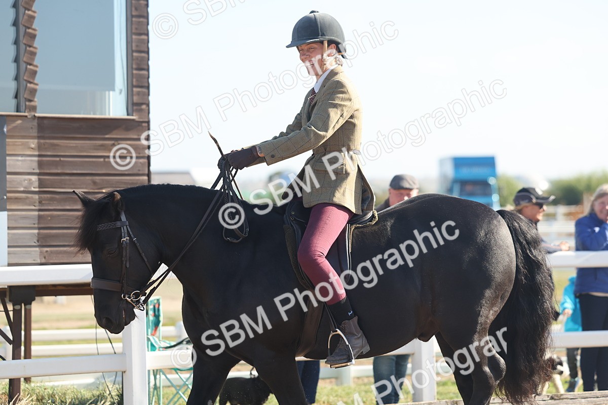 SBM_22180 - Class 802 - Ridden Groom Helpers Class