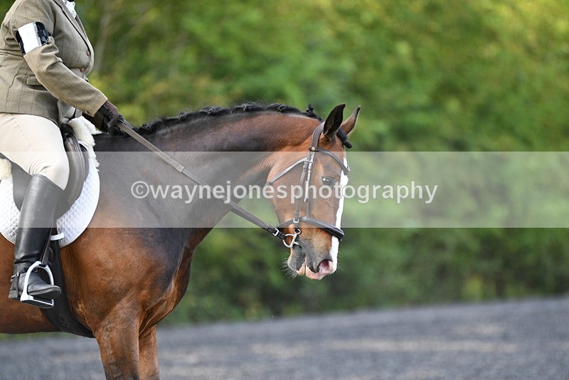 WJ5_8634 - Time 09:00 to 09:23