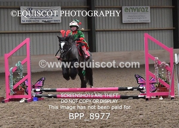 BPP_8977 - CLASS 1 Beginners Show Jumping