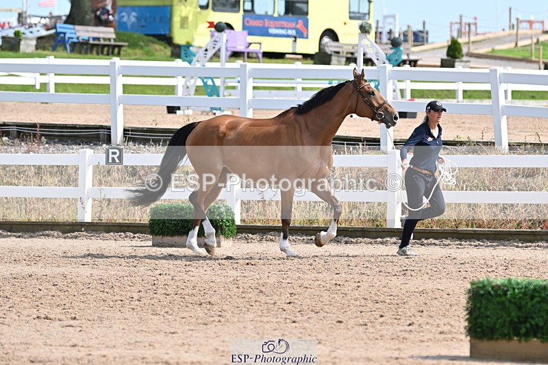 240717A-160135-03262 - Trot Up 4pm to 5pm