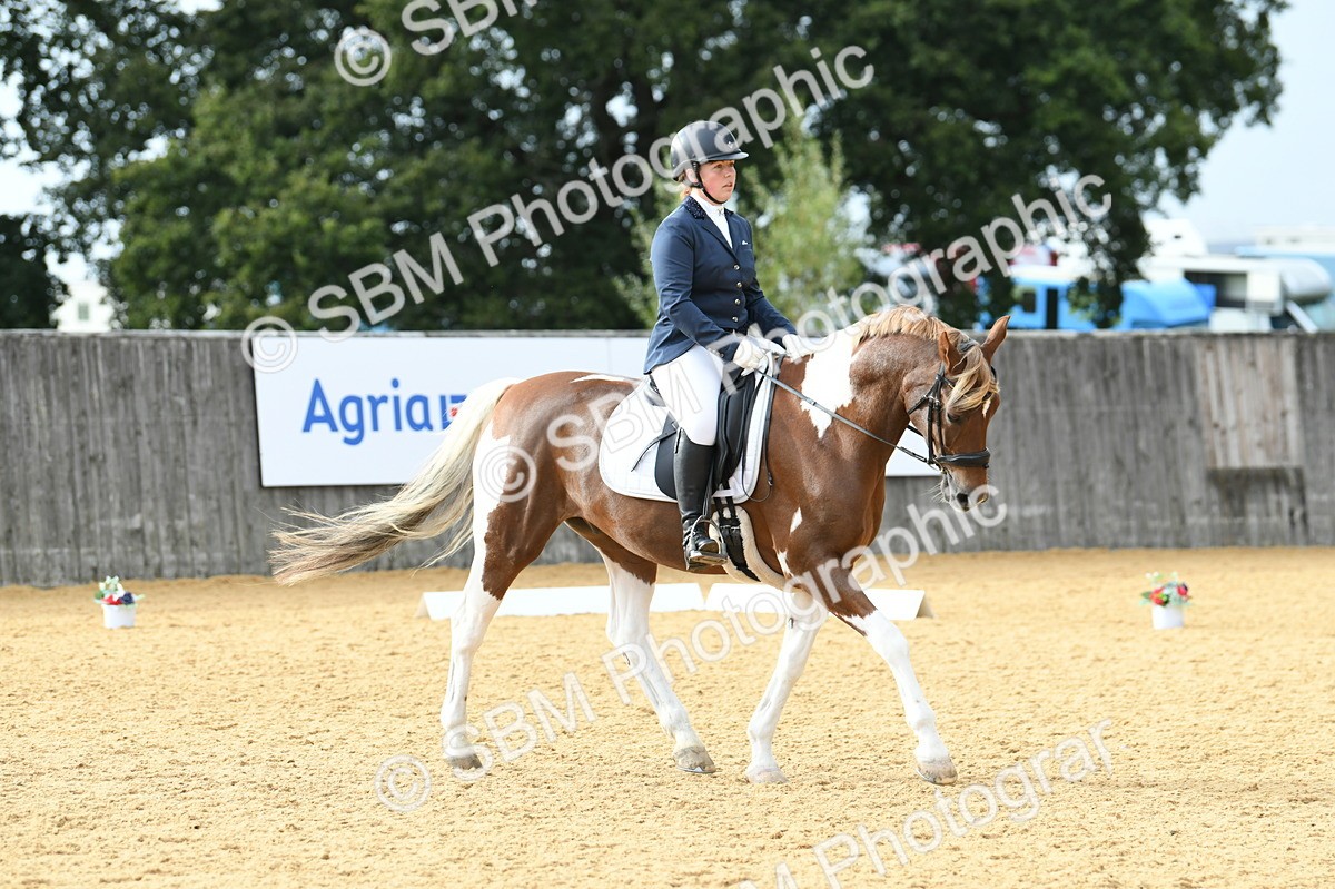 SBM_11050 - D28 Elementary Taster Elementary 42