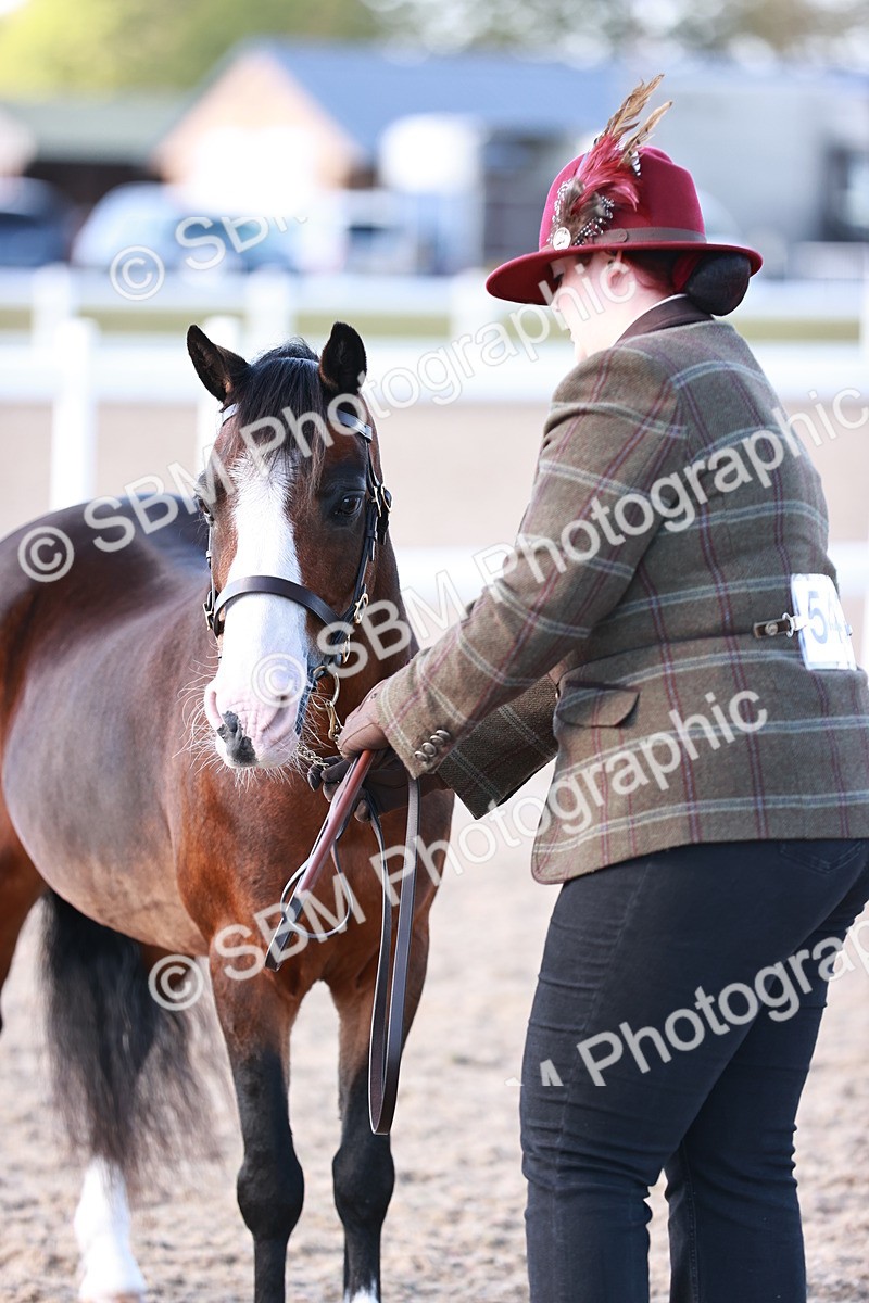 SBM_22709 - Class 704 - IH  Rescue