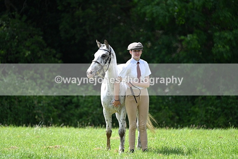 WJ7_1362 - Class 11 Condition & Turnout