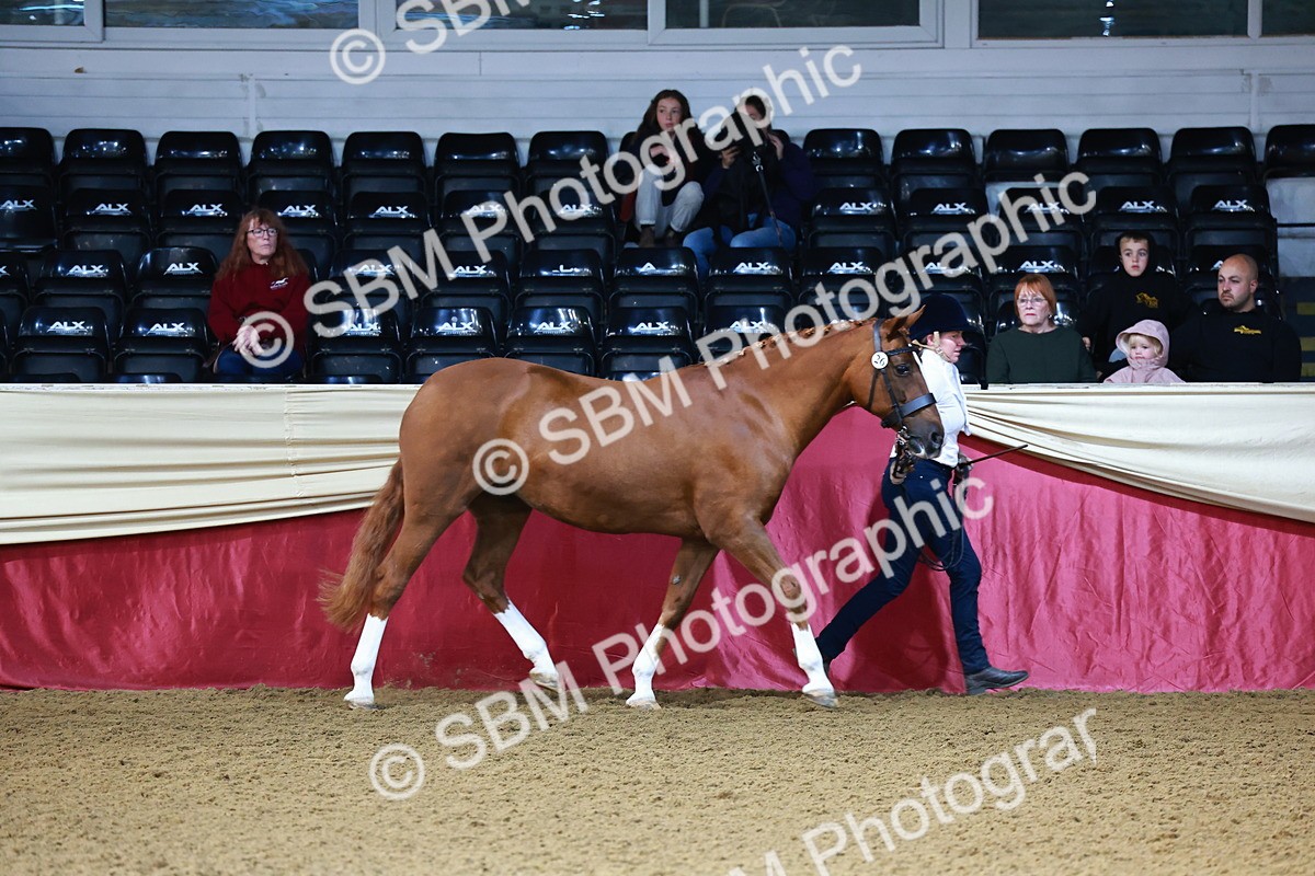 SBM_21724 - Class 901 - Supreme Final - IH  Diamond