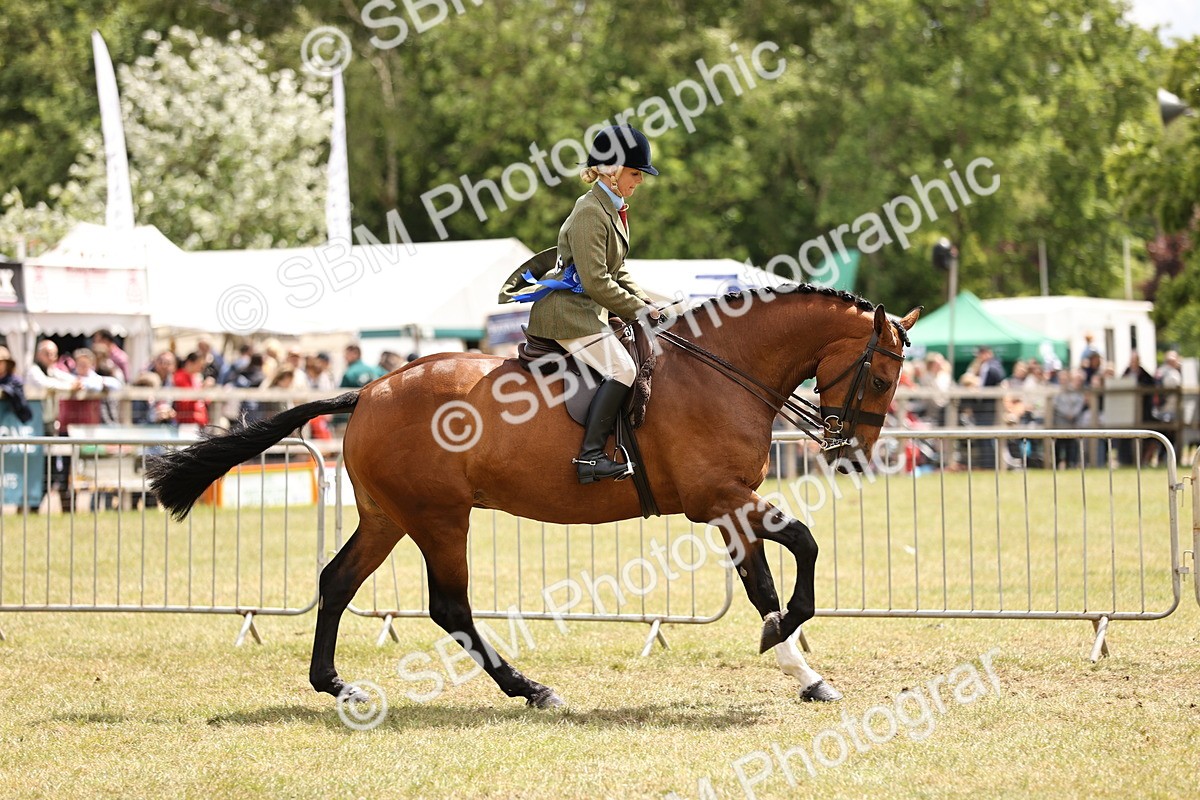 SBM_14801 - Class 88-89 - LIHS BSHA Rising Star of Ridden Hunter Type