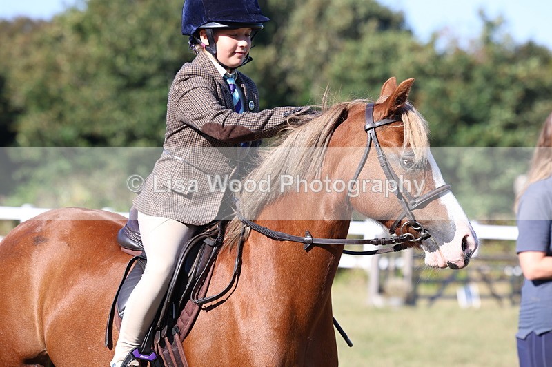 3E7A5366 - Class 2: Working Hunter 60cm