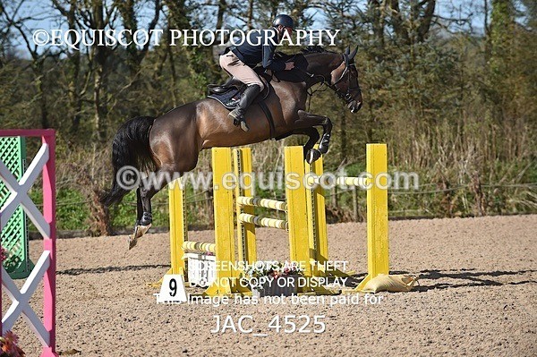 JAC_4525 - CLASS 11 SAT Andrew Hamilton Coach, RHS Foxhunter Championship Qualifier