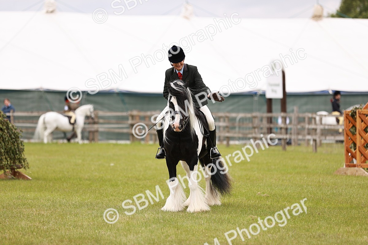SBM_06181 - Class 39-41 TGCA In Hand and Ridden