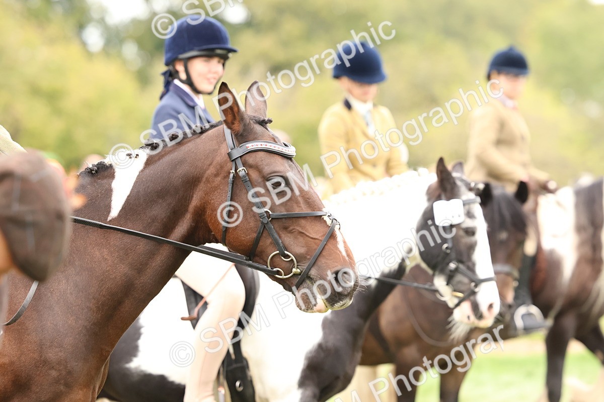 SBM_59980 - S36 - Rehabiliated Rescue Horse & Pony In Hand & Ridden