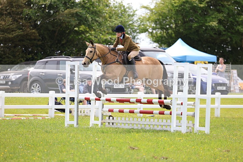 3E7A1431 - Class 13: Senior British Novice/90cm open