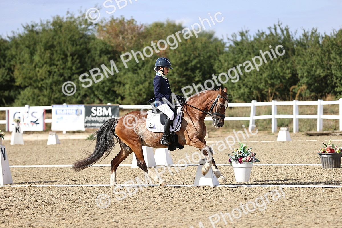 SBM_015984