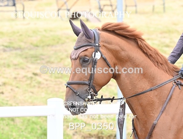 BPP_0350 - CLASS 26 SUN 5 Year Old Non Qualifier