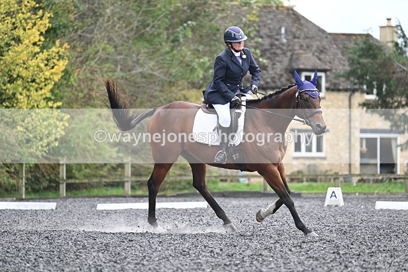 WJ7_6472 - Time 14:49 to 15:14