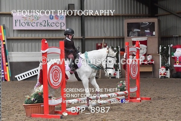 BPP_8987 - CLASS 1 Beginners Show Jumping