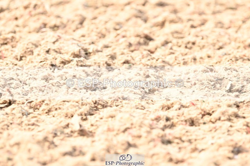 250620-173459-05003 - BD Cls 14 - Adv Medium 6