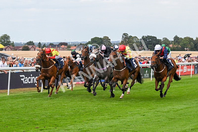 140825-Race 3-Rum Therapy-1036 - Race 3