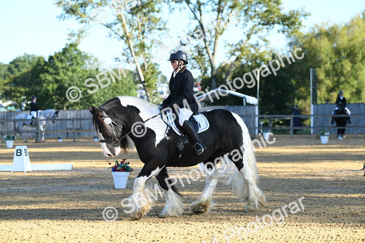 SBM_14470 - D4 - Small Tour Championship - Intro B