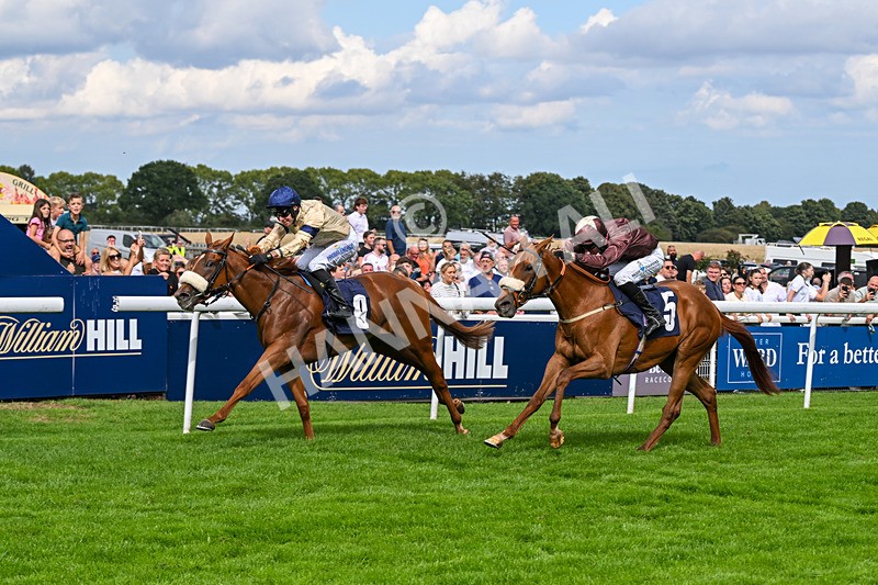 300826-Race 3-Pivotal Voyage-0194 - Race 3 2.50pm Churchill Tyres EBF Restricted Maiden Fillies' Stakes