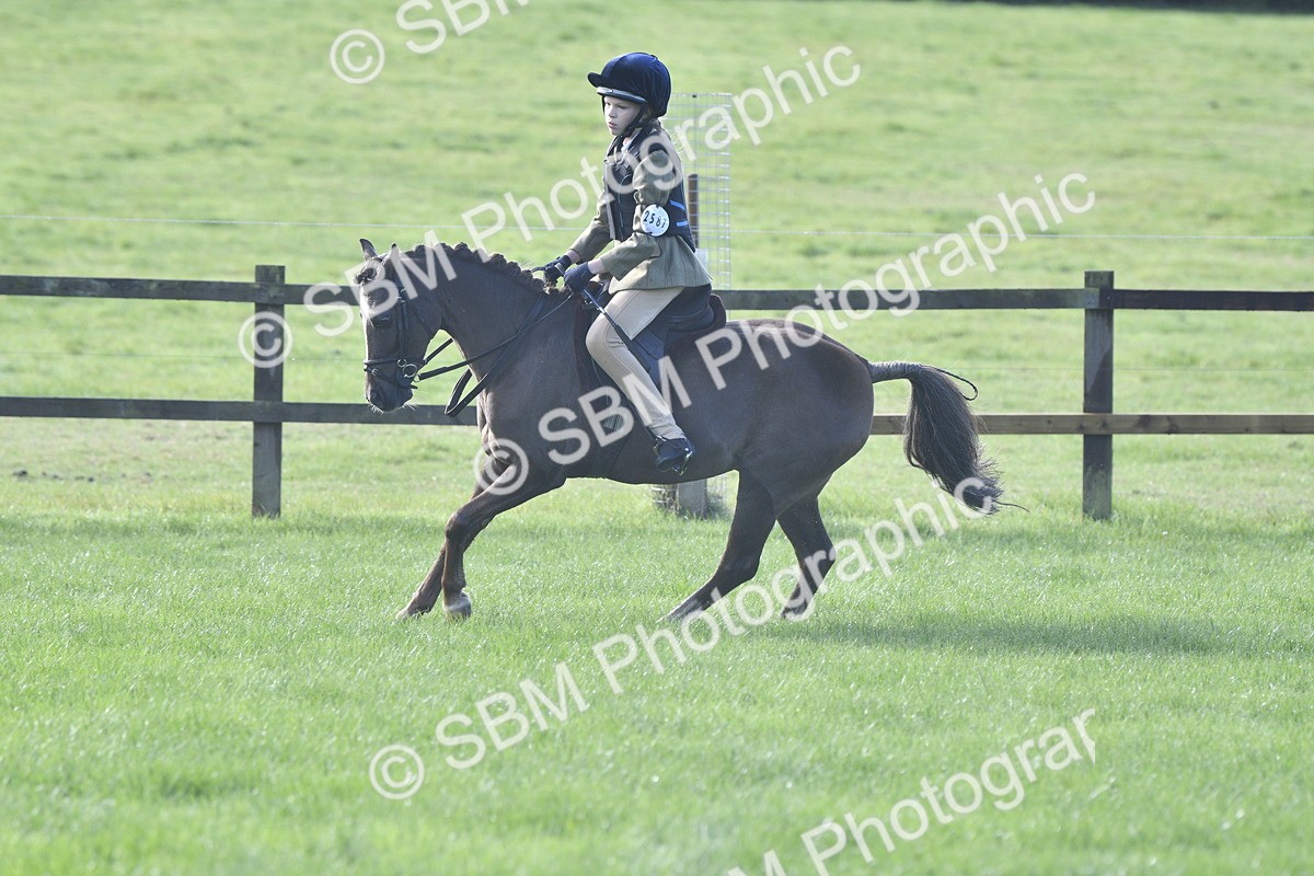 SBM_37222 - S31 - Novice & Newcomer Working Hunter Pony