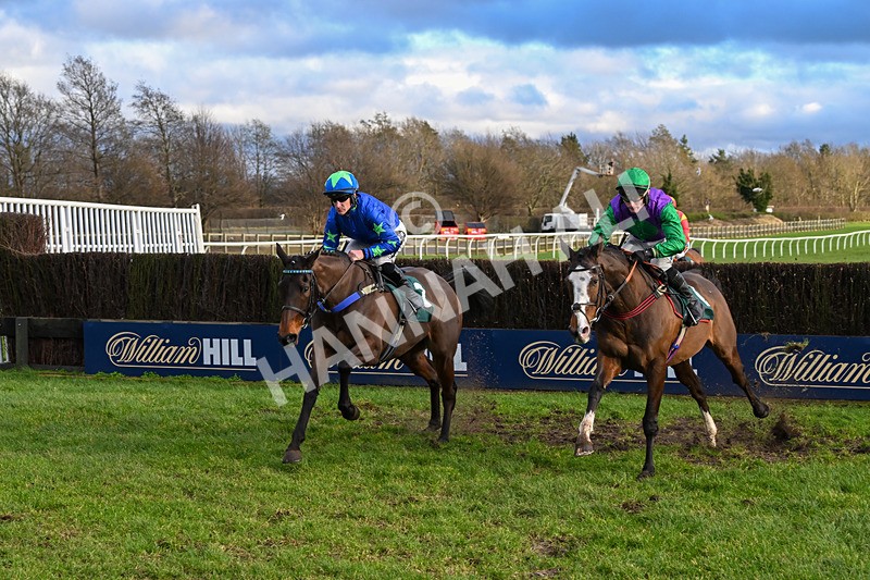 020224-Race 5-Shighness-8421 - Race 5