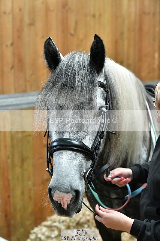 230804A-094839-02203 - Stable Shots