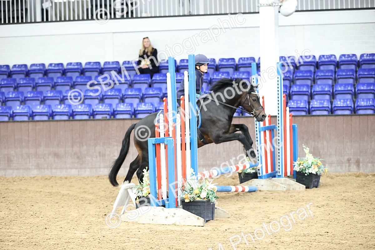 SBM_009207 - 50cm