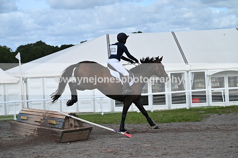 WJ7_0138 - Time 11:02 to 11:34