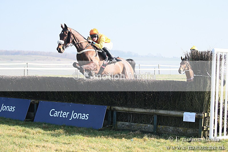 PtP 230219 281 - Vine & Craven Point-To-Point - Barbury 23/02/19