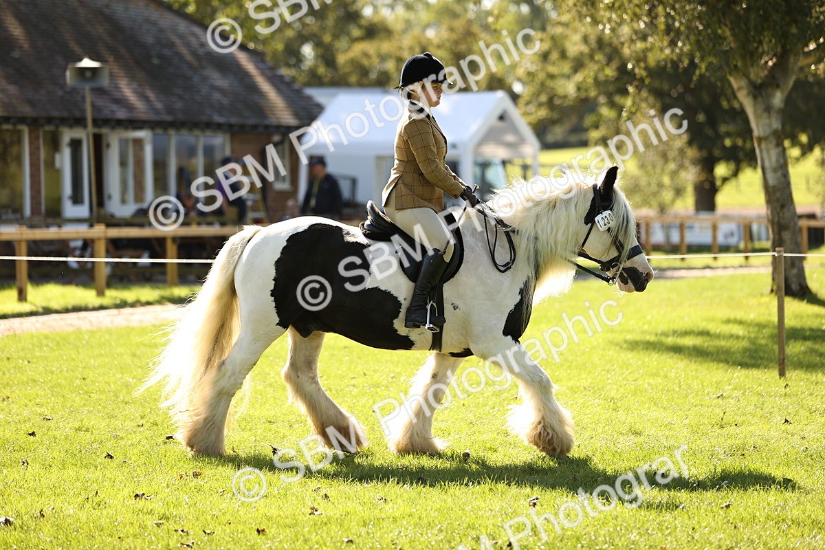 SBM_19113 - S3 - TSR Ridden Pony Showing