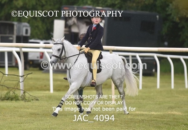 JAC_4094 - 40CM WORKING HUNTER