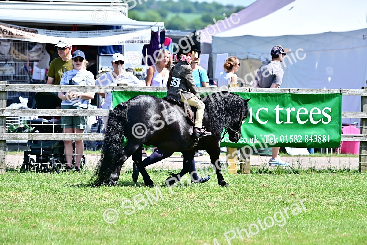 SBM_05762 - Class 59-60 - TSR M&M  Lear Rein and First Ridden Amateur of the year