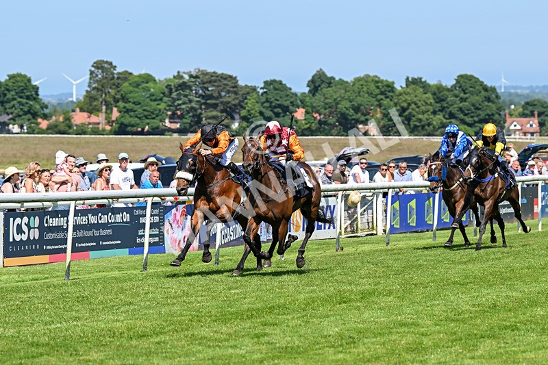 250624-Race 4-Lincoln Rockstar-5619 - Race 4