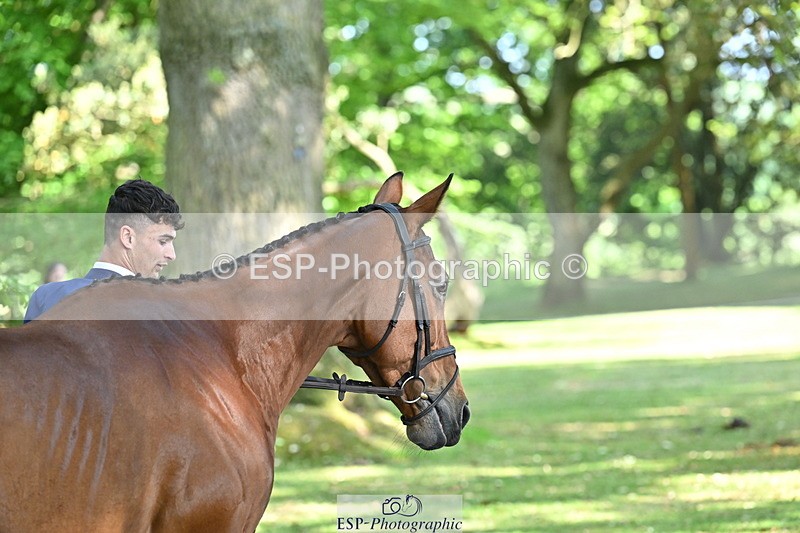 250521A-162126-01087 - C-216-Harrison.Chart-MY.KIND.OF.LADY