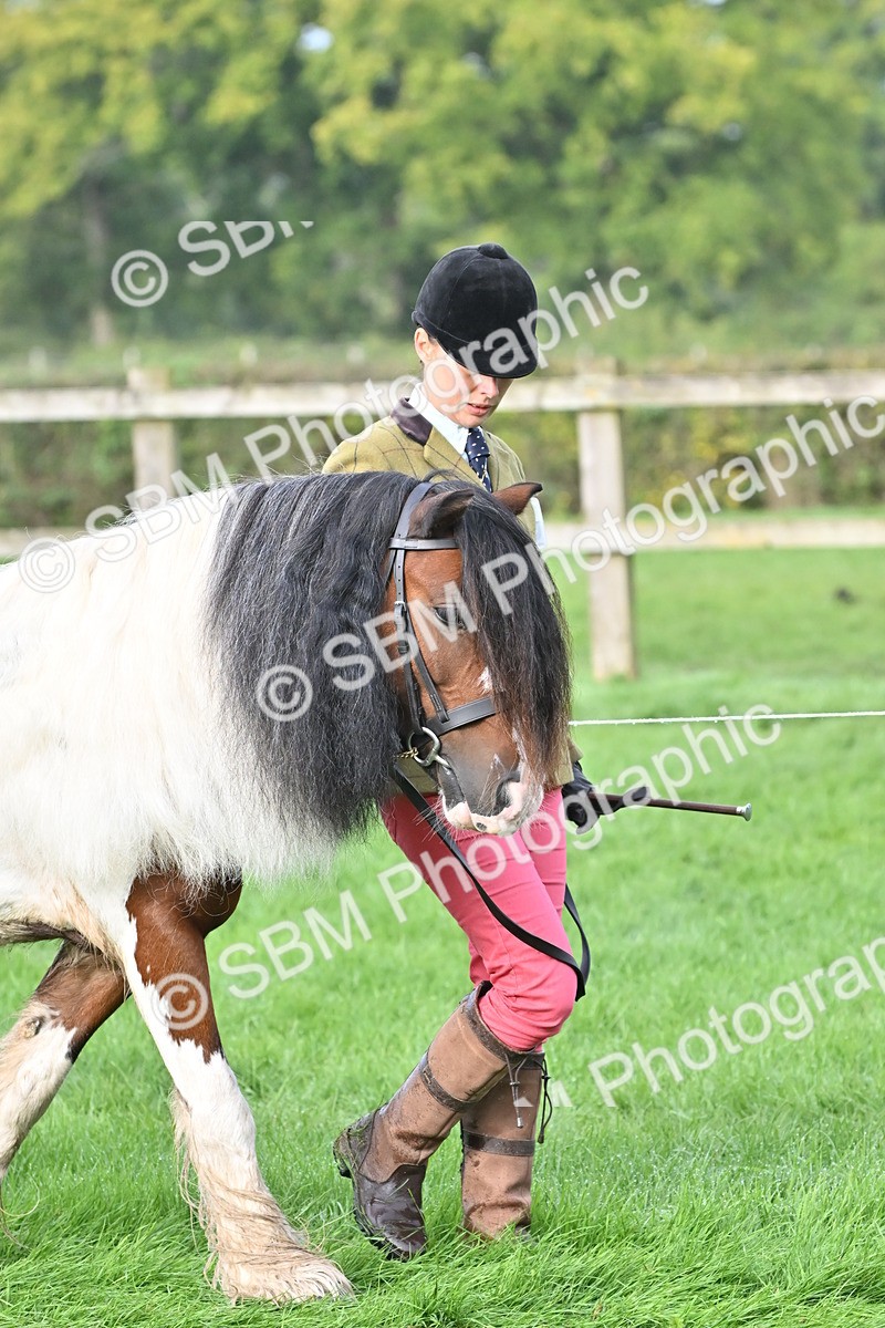 SBM_56842 - S45 - Coloured Pony In Hand