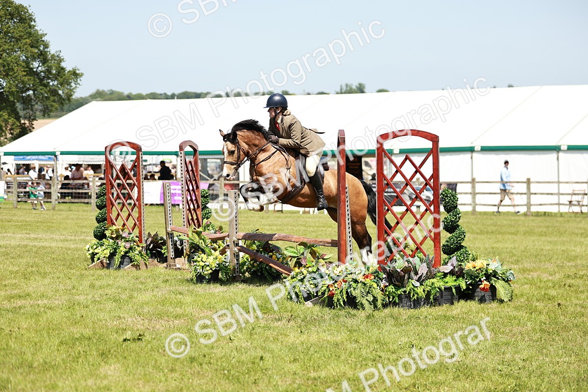 SBM_16344 - Class 110-111 - Training Stakes (70cms 80cms)