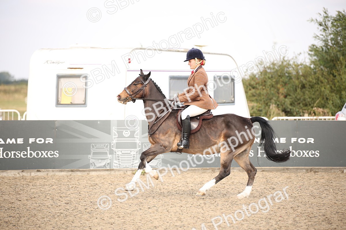 SBM_16071 - Class 408b - Working Veteran 70cm (20+)