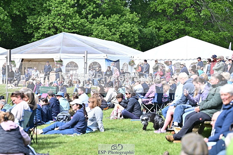 250525A-102643-15754 - Western Counties Crowds