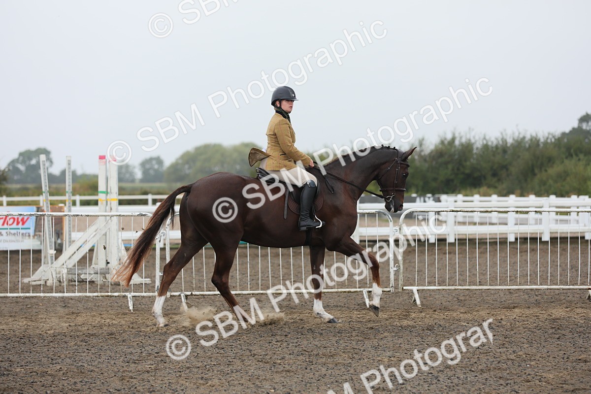 SBM_21259 - Class 805 - Ridden Veteran Horse