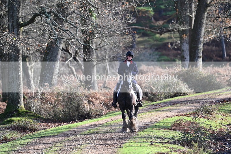 WJ7_7769 - Line 3 (no line 4 or 5)