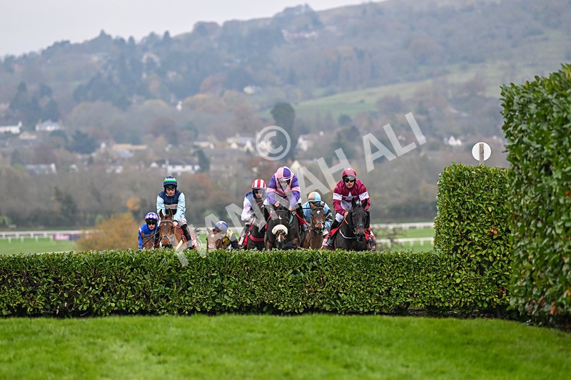 151124-Race 4-Tommie Beau-8106 - Race 4