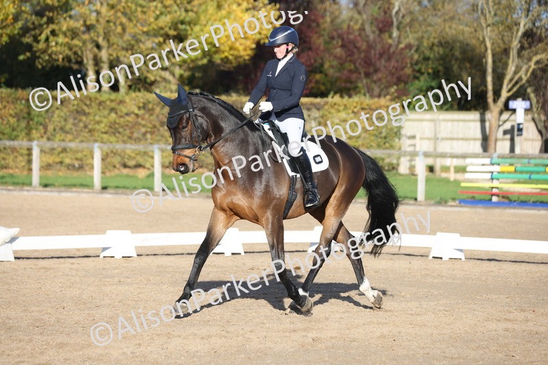 20251102-1202 - Class 7 - Medium 5