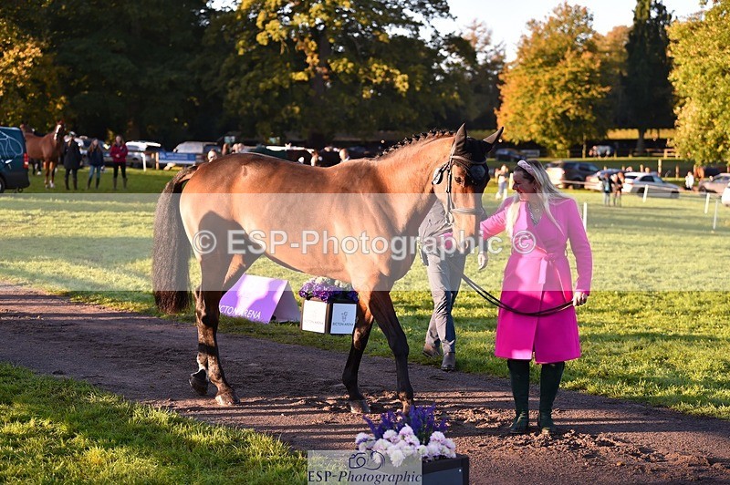 231022-084914-21379 - 628-WONDERLAND.T.H-Alice.Dalton-TrotUp+SJ