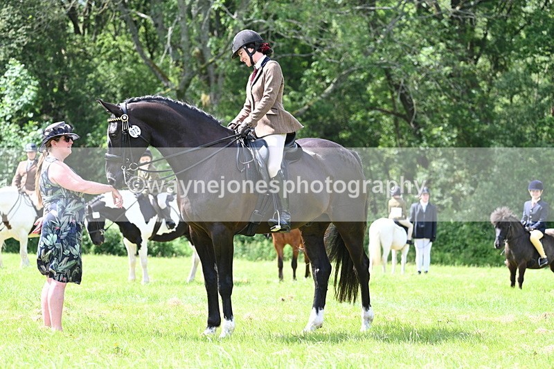 WJ7_1465 - Class 11 Condition & Turnout
