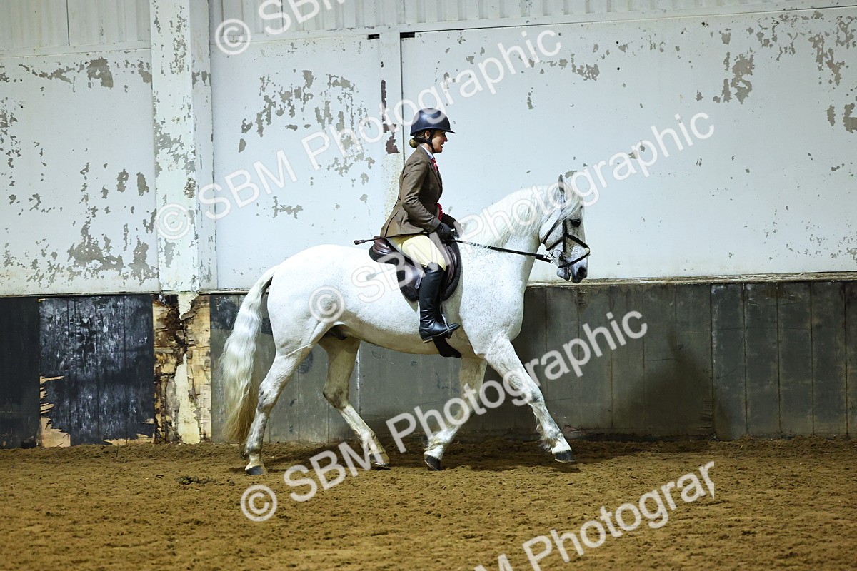 SBM_006723 - Class 43 - RIHS Qualifier Exceeding 43cms