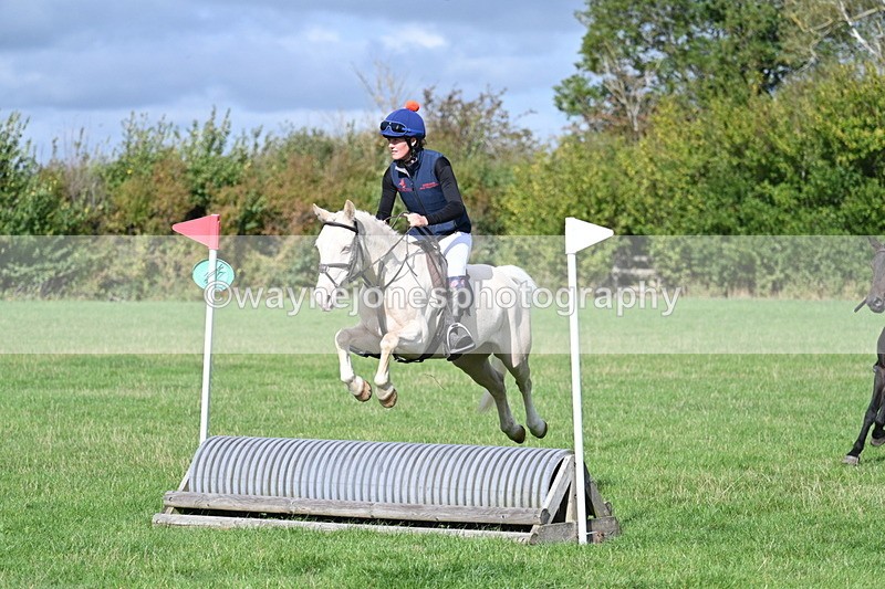 WJ7_8498 - 60cm Pairs